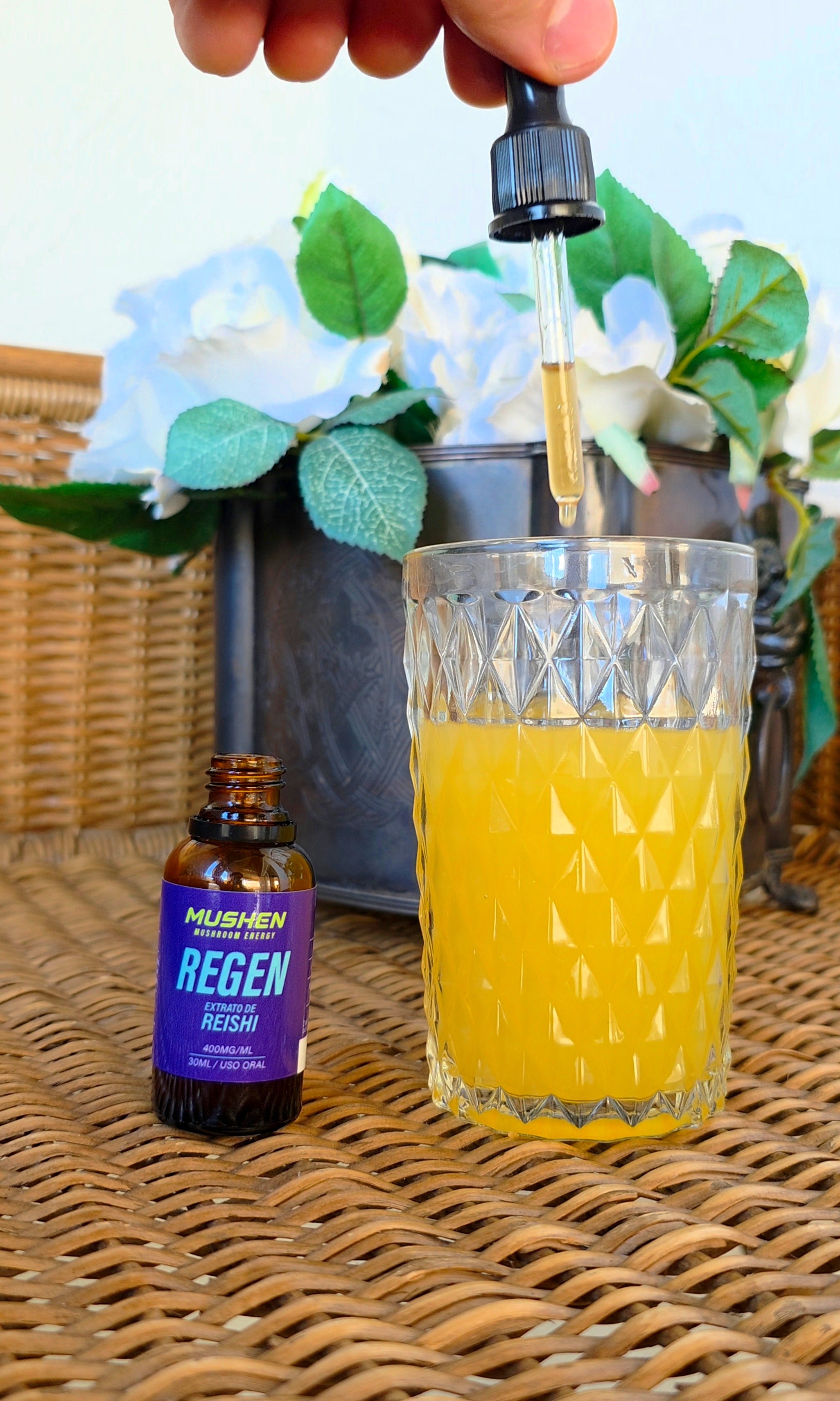 MUSHEN REGEN - Reishi