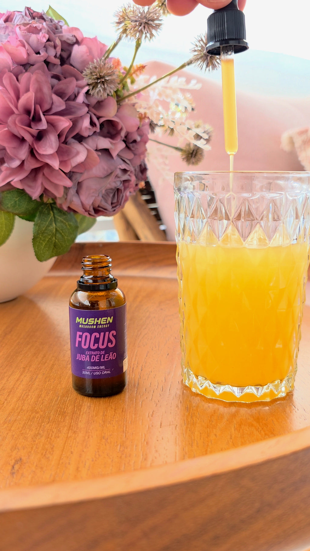 MUSHEN FOCUS - Juba de Leão