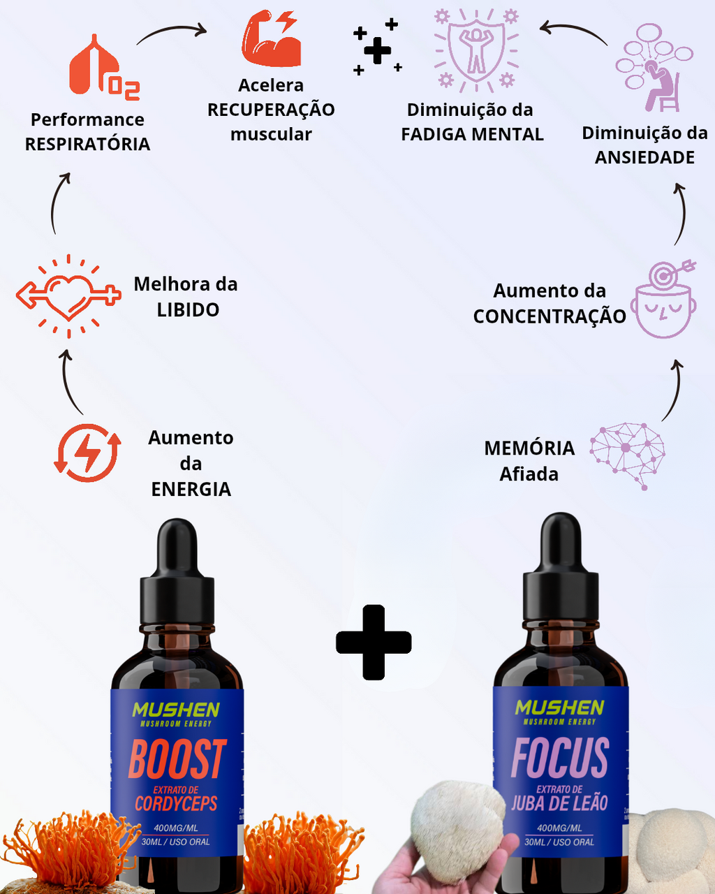 Boost Cordyceps  + Focus Juba de Leão