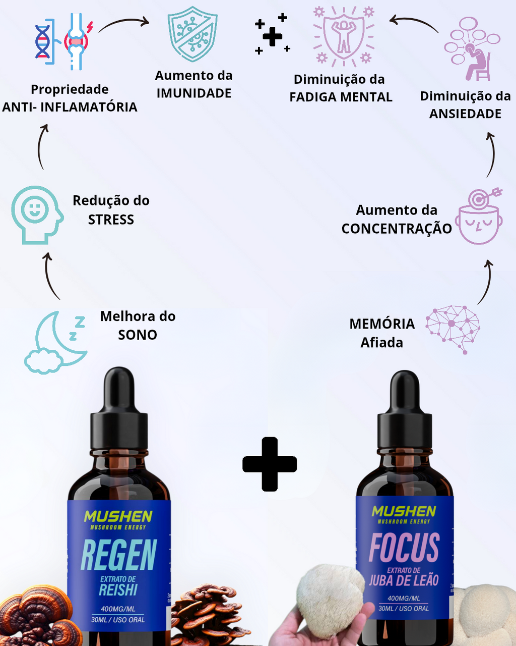 Regen Reishi + Focus Juba de leão