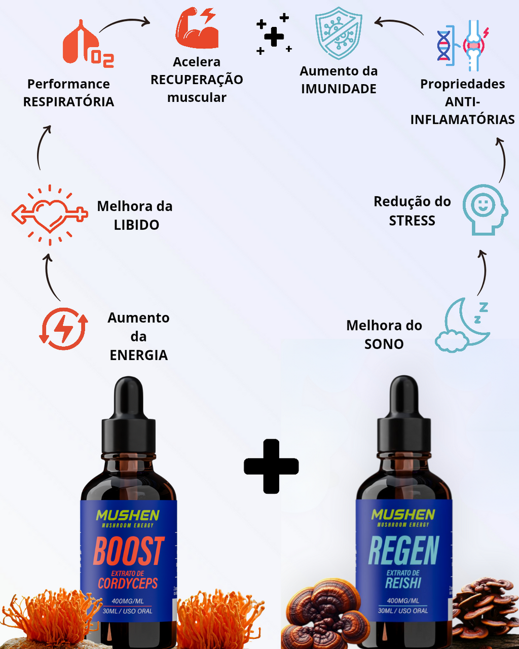 Boost Cordyceps + Regen Reishi
