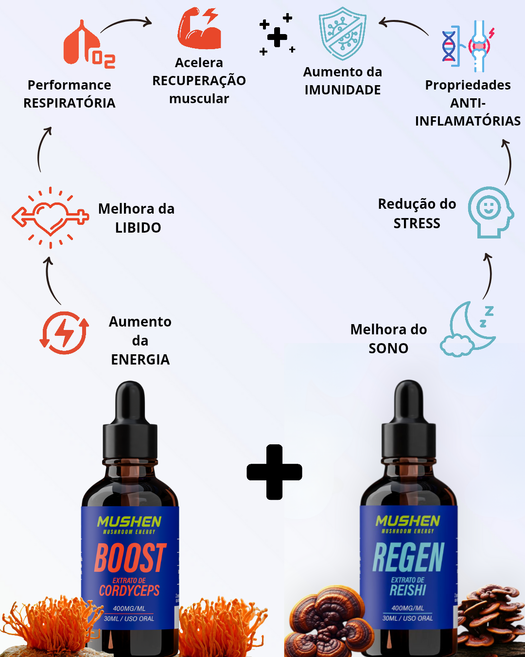 Boost Cordyceps + Regen Reishi