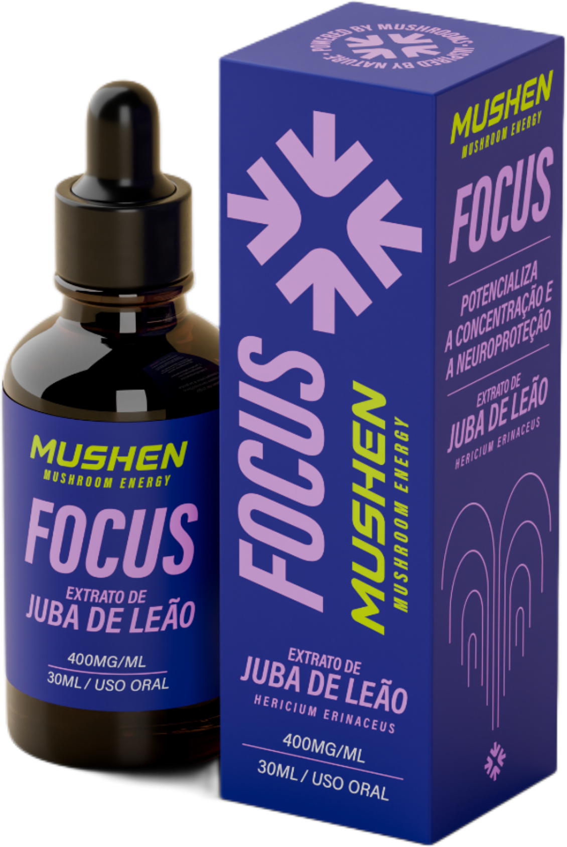 MUSHEN FOCUS - Juba de Leão